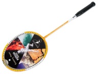 Бадмінтон Badminton Rocket Talbot - Professional.