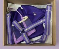 Фіолетовий Бокс З Аксесуарами Для Hobby Horse А4