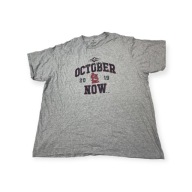 Чоловіча Футболка St. Louis Cardinals Mlb Fanatics 4Xl