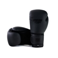 Боксерські Рукавички Stormcloud Rookie Matte Black 10 Унцій