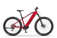 Електровелосипед Ecobike Rx500 2025 21' 20Ah Безкоштовна Страховка!