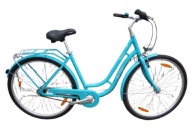 Pegasus Bici Italia 7 Nexus Dynamo Xenon Blue