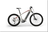 Corratec E-Power X Vert Pro Gent Frame 49