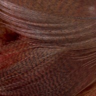 Ffgene Mallard Flank Brown