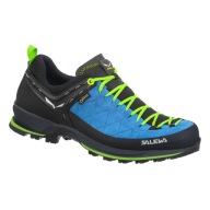 Трекінгове Взуття Salewa Mtn Trainer 2