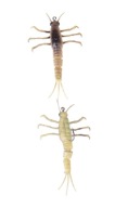 Savage Gear 3D Tpe Mayfly Nymph 5См/2,5Г Жовтий