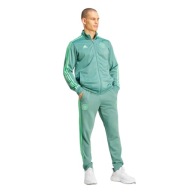 Чоловічі Спортивні Штани Adidas Зелені