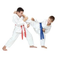 Кімоно Для Карате Для Дитини + Пояс Безкоштовно - Dbx Bushido Ark-3102 120 См Kim