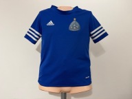 Футболка Ruch Chorzów (Польща) Тренувальна Adidas Junior 128