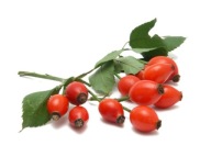 Equiherbs Wild Roe Імунітет Віт. С Для Коней Кінь 1 Кг