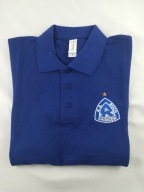 Футболка Polo Ruch Chorzów