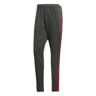 Спортивні Штани Adidas Fc Bayern Tr Pnt Cw7260