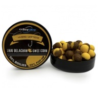 Balanced Wafters Hybrid Crazy Carp Balls - Thai Belachan & Sweetcorn 10 Мм