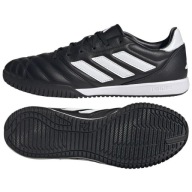 Adidas Copa Gloro У Футбольному Взутті