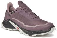 Жіночі Кросівки Salomon Alphacross 5 Gtx Низькі | Розмір 40 2/3