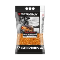 Germina Bait, Короп, Лесня, Краськ