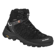 Взуття Salewa Alp Trainer 2 Mid Gtx 00-0000061383_0971