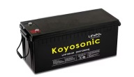 Koyosonic Tokarex Battery Lfp100-24 Lifepo4 100Ah 24Volt