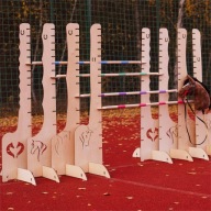 Набір Перешкод Hobby Horse 4X110См