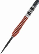 Steel Darts Dennis Priestley S.e. - 24 Г