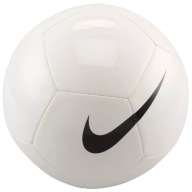 Футбольні Кросівки Nike Pitch Team 25 Білі Hv6337 100