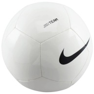 Футбольні Кросівки Nike Pitch Team Білі Fz7553 100