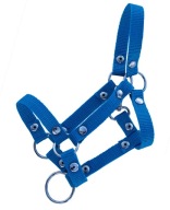 Недоуздок Для Hobby Horse - Large - Horse Club