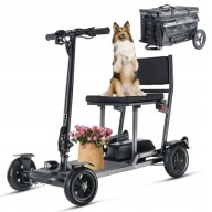 Freejoyer F7 Plus Freejoyer Electric Vehicles 300W 36V 13Ah 100Kg 15Km/H