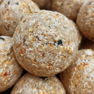Без Сітки 100X Champi Fat Balls Наживка Готова Прикормка Короп Лящ