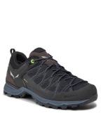 Низькі Трекінгові Черевики Salewa Mtn Trainer Lite