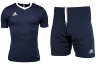Чоловічий Спортивний Костюм Adidas Entrada 22 Футболка Шорти
