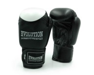 Боксерські Спаринг-Перечатки Evolution Pro 10 Oz
