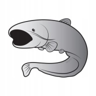 Налійка Delphin Sumec Silver