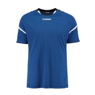 Чоловіча Тренувальна Футболка Hummel Authentic Charge Poly