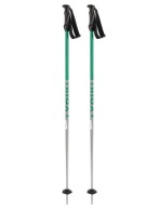 Лижні Палиці Völkl Rentastick Зелені 135