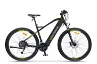 Ecobike 29