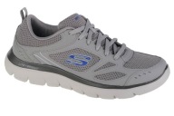 Чоловіче Спортивне Взуття Skechers Skechers Summits-South Rim