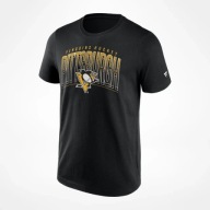 Чоловіча Футболка Pittsburgh Penguins Nhl Team Arch Graphic. Розмір: S