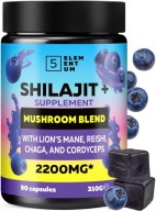 Mumio + Ashwagandha 100% Organic | Jellies 90 Pcs, Sugar-Free | Shilajit Mumijo Himalayas