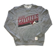 Світшот Arizona Coyotes Nhl Ccm Pro Vintage S