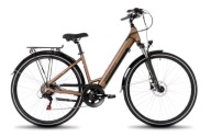 Електровелосипед Romet Proeco 1.0 504 Wh 14 Ah 19'' Рама Низька Сходинка