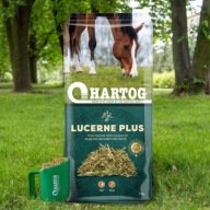 Hartog Lucerna Plus Полова Лляна Олія 15 Кг Полова Для Коней З Олією