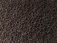 Пеллет Skretting Optiline Black Carp 2Мм 1Кг