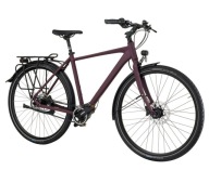 Трекінговий Велосипед Gudereit Premium 12.0 Evo Lite Pinion