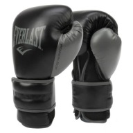 Боксерські Рукавички Everlast Powerlock 2 Black