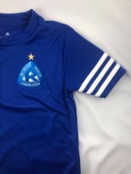 Футболка Adidas З Логотипом Ruch Chorzów