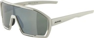 Окляри Alpina Bonfire Q-Lite Cool-Grey