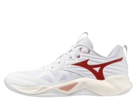 Взуття Для Волейболу Mizuno Wave Momentum
