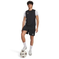 Класичні Шорти (Вільні) Under Armour Ss25