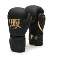 Боксерські Рукавички Leone Black&Gold